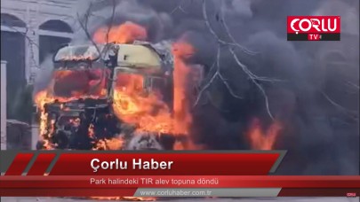 Park halindeki TIR alev topuna döndü